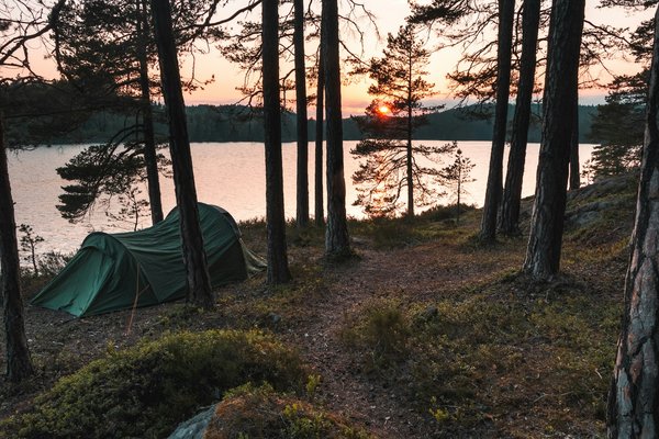 Quelles sont les meilleures pratiques pour camper en zone de forêts tempérées en automne?