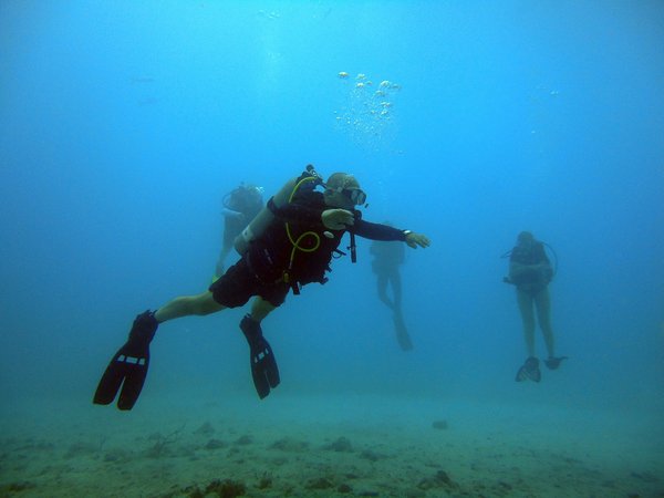 Comment organiser une croisière pour explorer les sites de plongée sous-marine en Égypte?